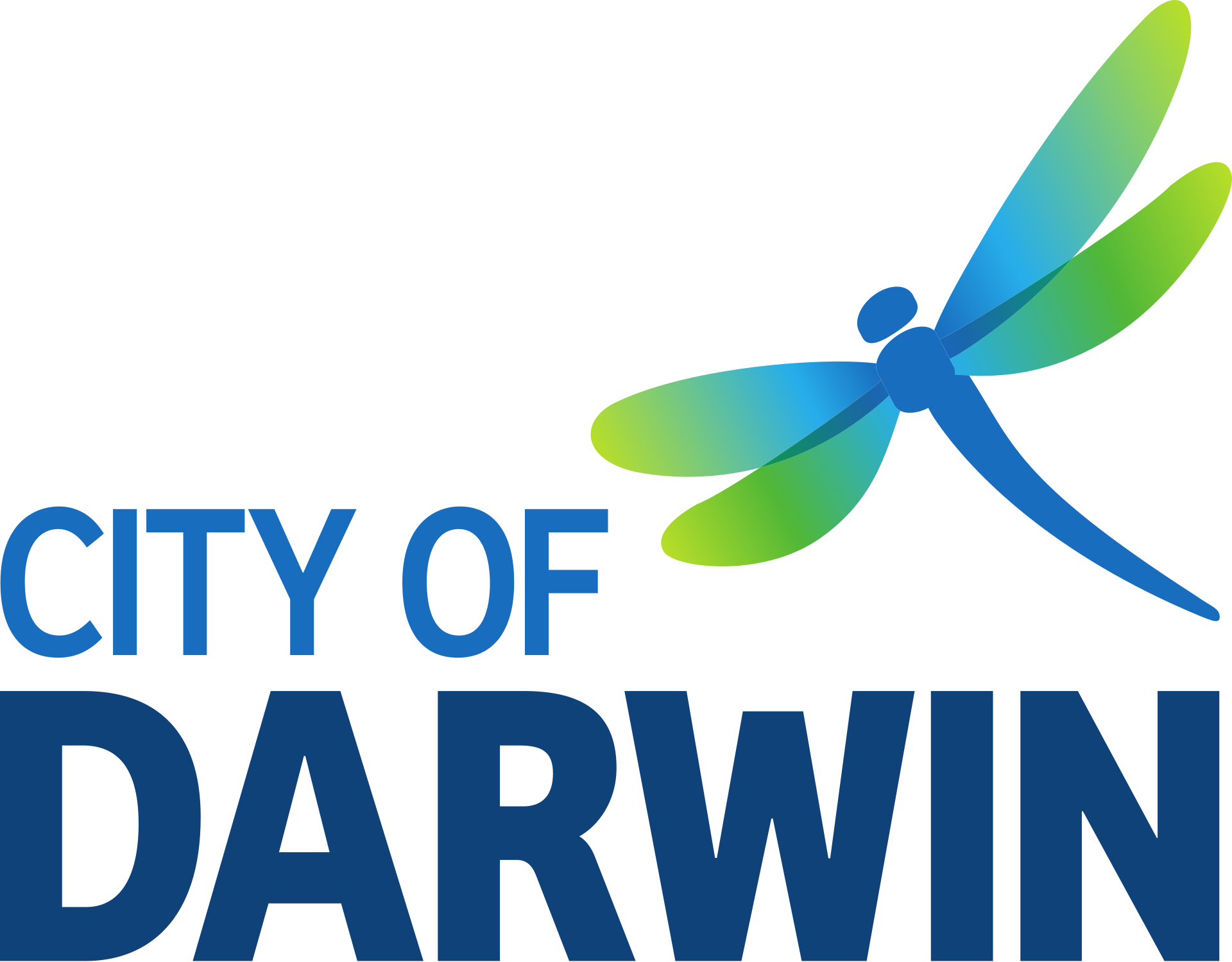 Darwin City