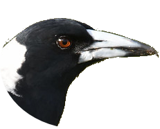 Yarralumla Index logo